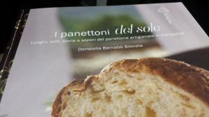 migliori panettoni artigianali campania che vai