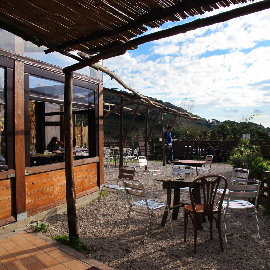 Cantina dell'Averno foto monicapiscitelli